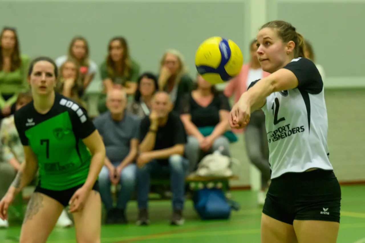 trivos d1 gemini d1004