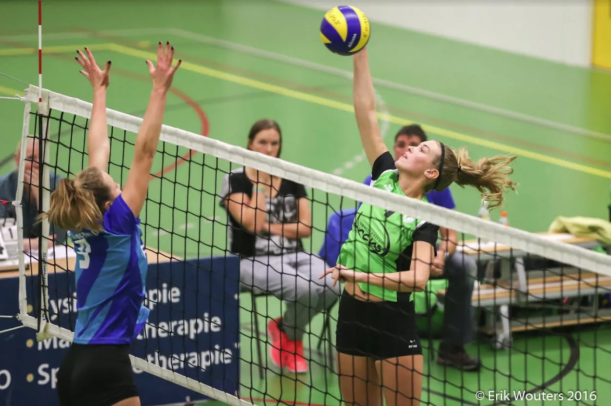 trivos wijchen 101216 01