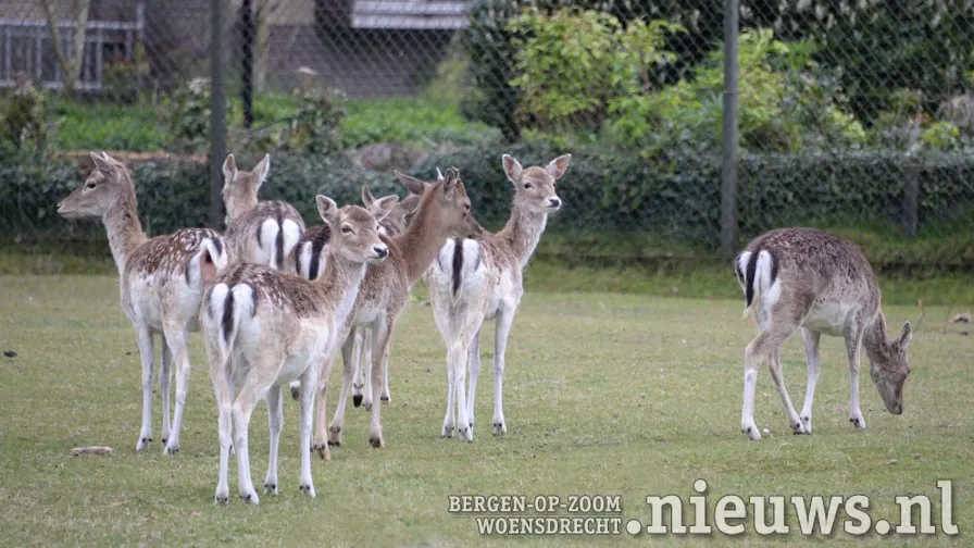 20170501 jkr put hertenkamp 002b