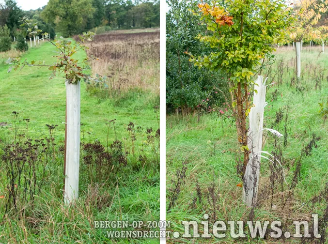 20191102 huij vijverhoeve 006