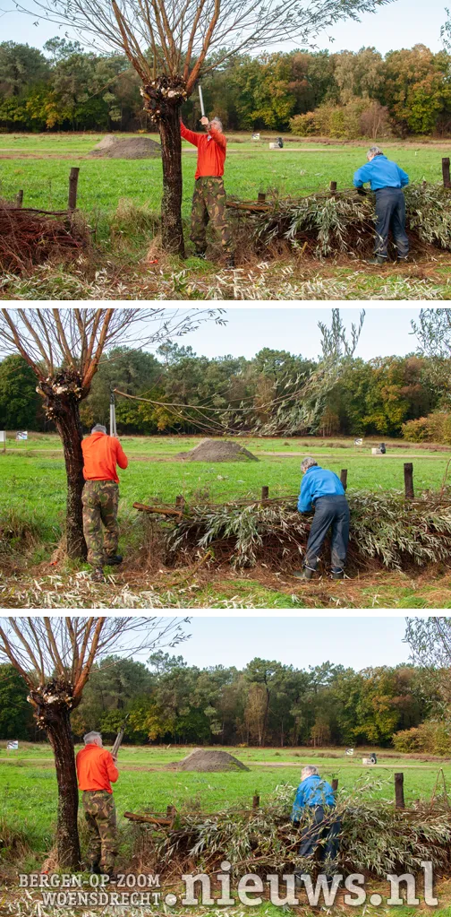 20191102 huij vijverhoeve 014