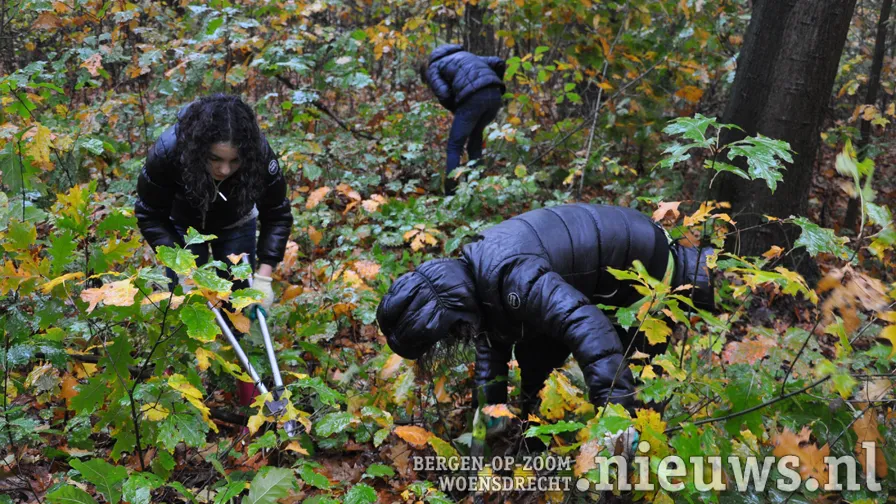 20191105 boz natuurwerkdag 002