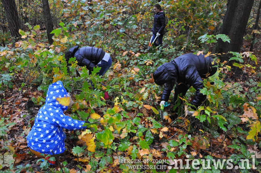 20191105 boz natuurwerkdag 003