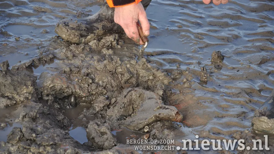 20200113 rill slikken 003