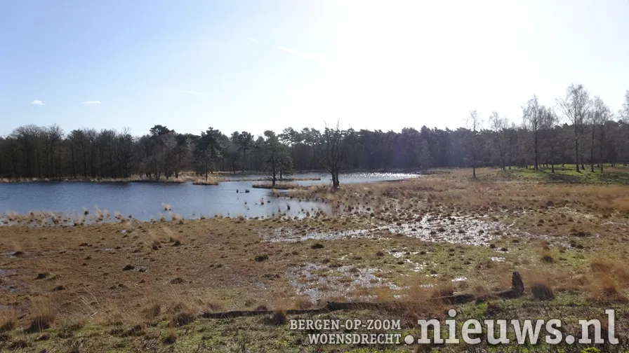 20200312 hoo goen 001