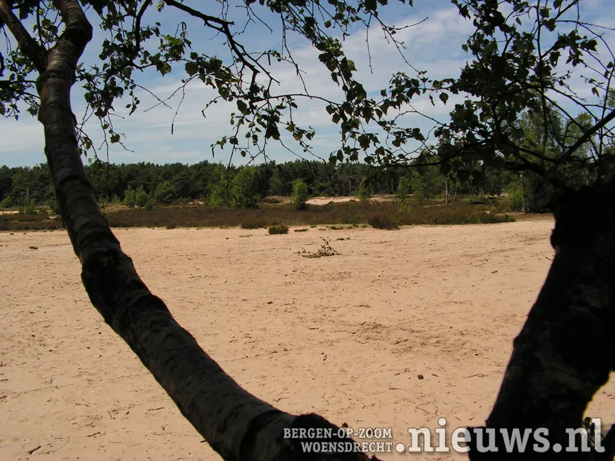 20200327 kal kalmthoutseheide 002