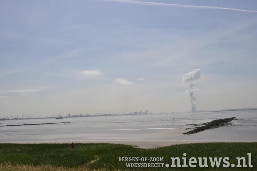 20200528 dsc 3190 13