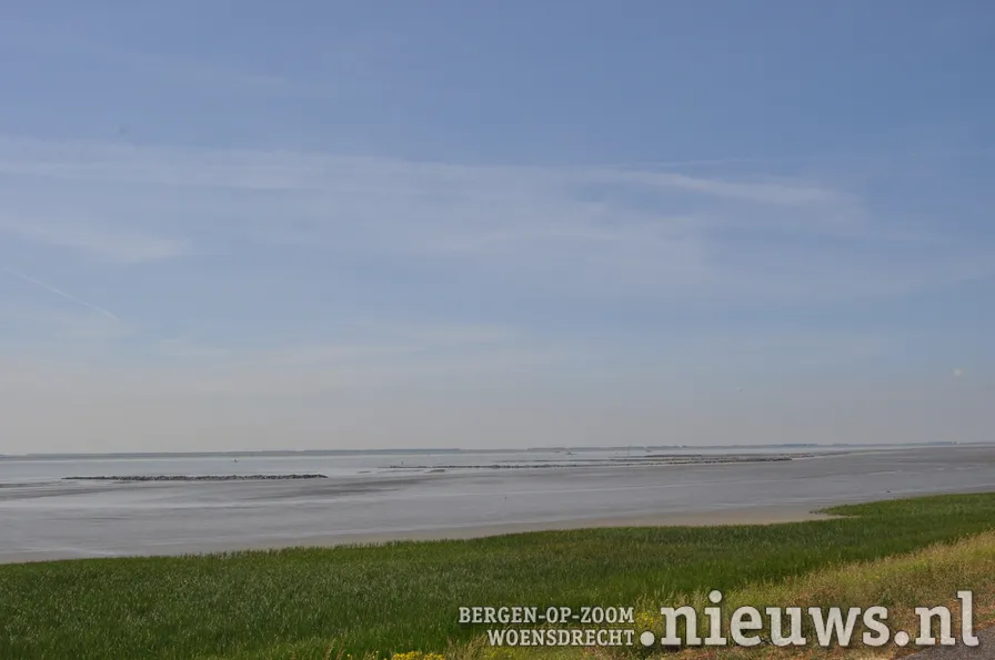 20200528 dsc 3192 02