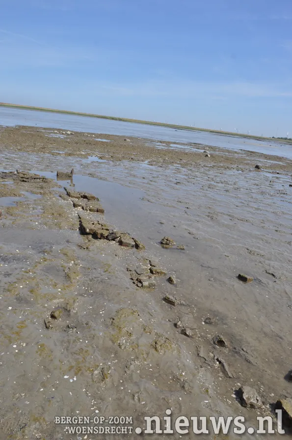 20200528 dsc 3195 05