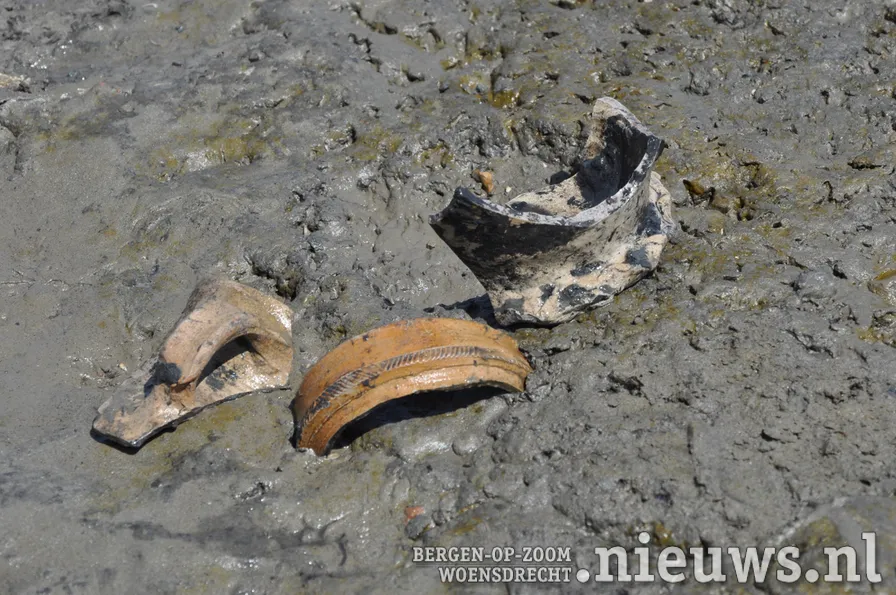 20200528 dsc 3206 08