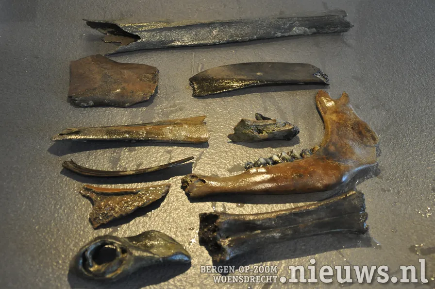 20200528 dsc 3208 17