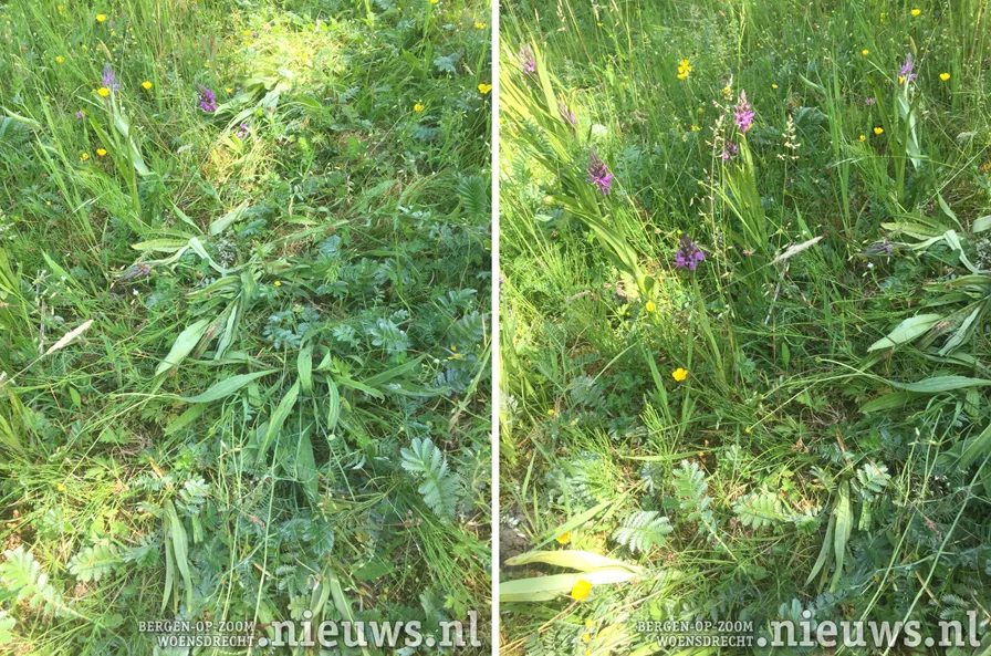 20200604 hoo zorgplicht 004