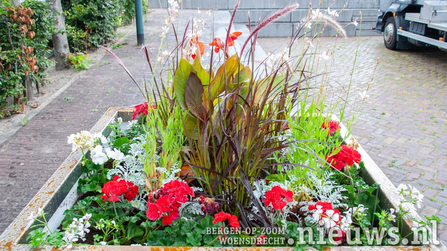 20200724 woe bloembakken 001