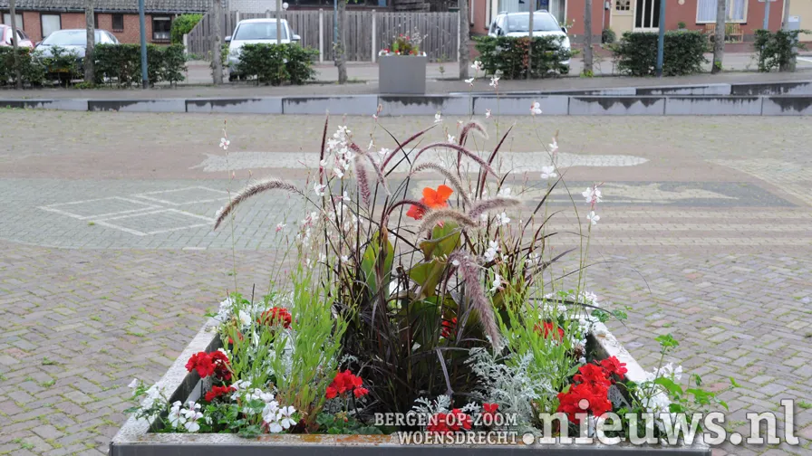 20200724 woe bloembakken 003