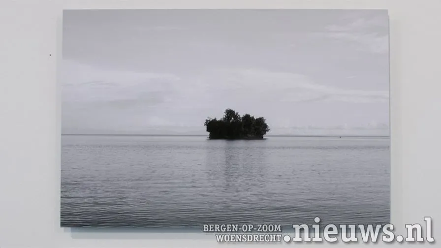 20210902 boz expo corine 002a