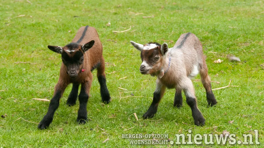 20220504 woe leemberg 006a