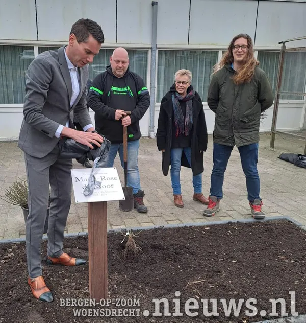 20230203 gem oss rozen 002