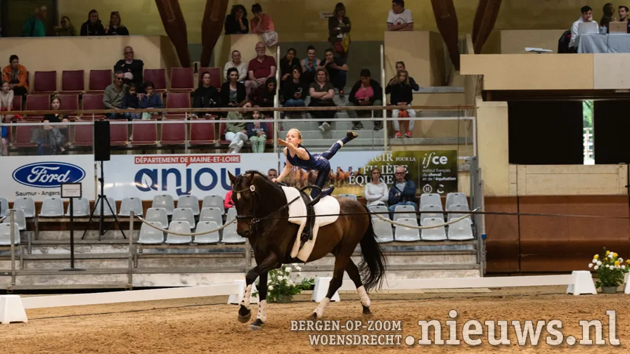 20230313 voltimotion nk solo 000