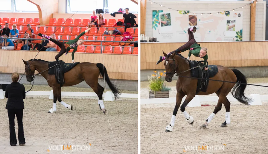 20230313 voltimotion nk solo 003