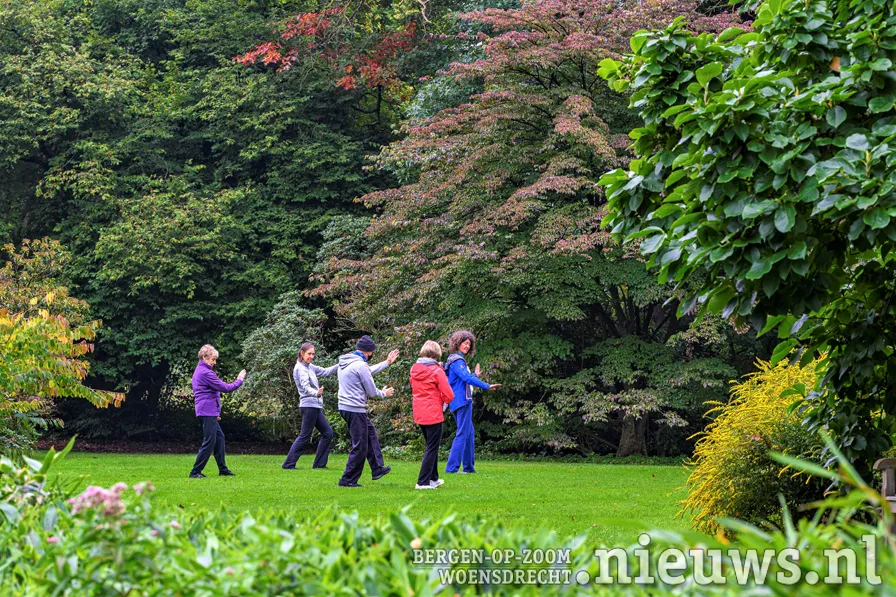 herfst tai chi c2a9arboretumkalmthout