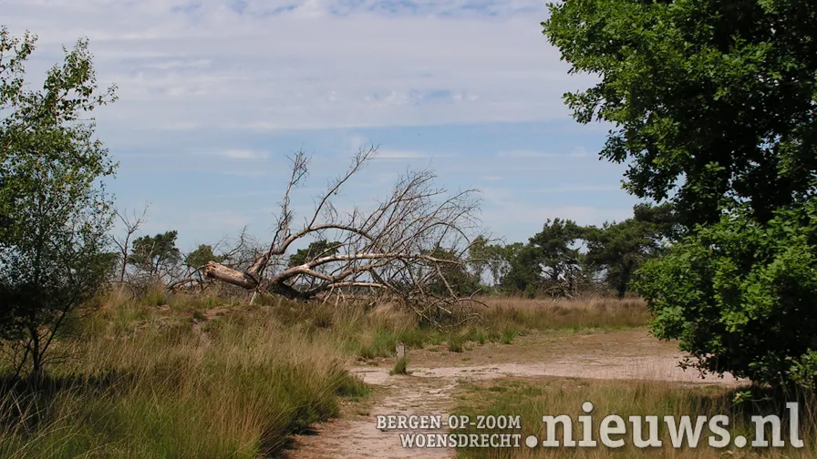 jkr 896 kalmthoutseheide 002b