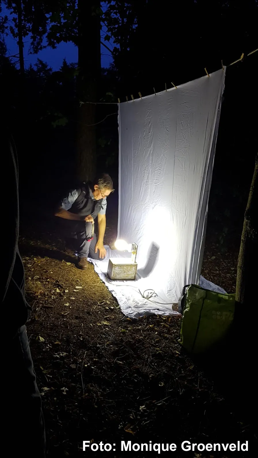 nachtvlinders laken guus1