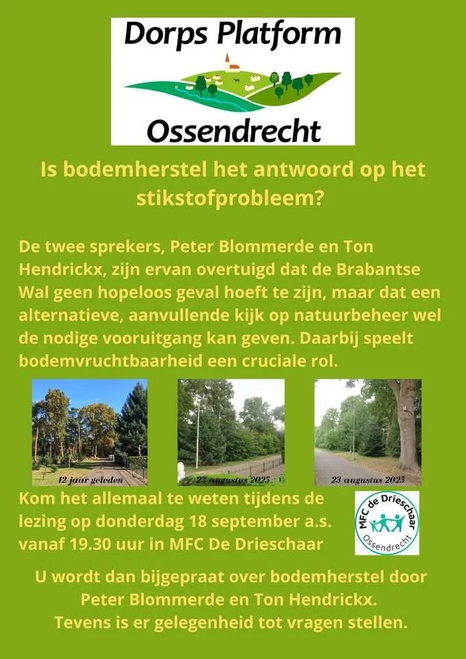 Bodemherstel