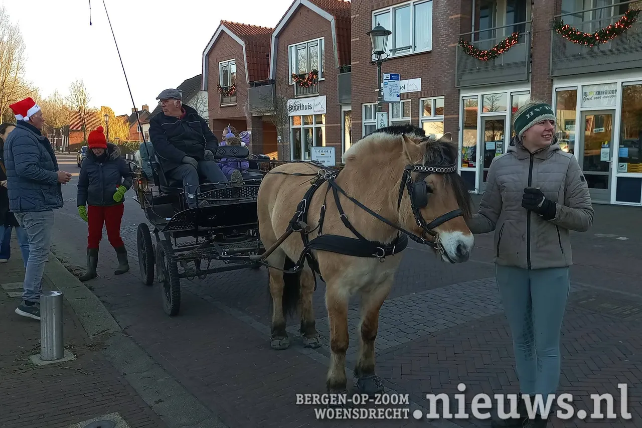 Paard en wagen voor een ritje rond het plein