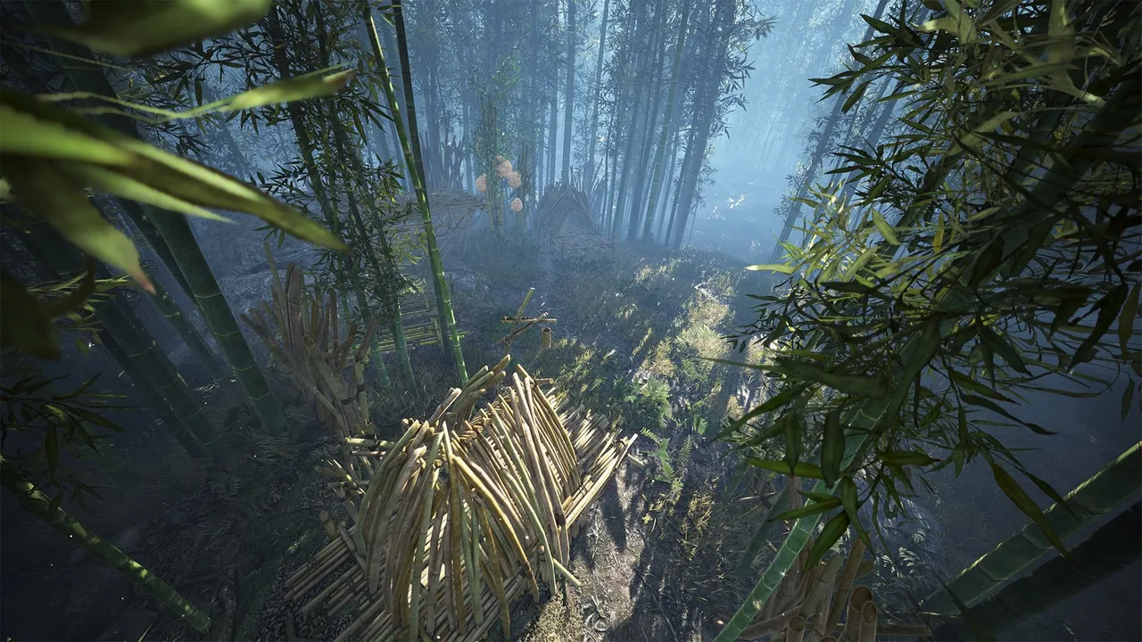 black desert environment bamboo forest2f1686667694