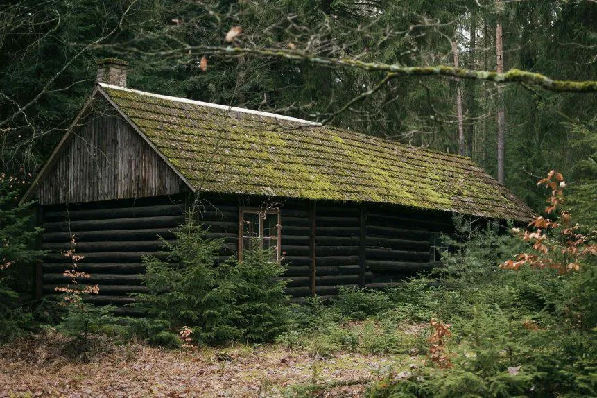 cabin in the woodsf1625221112