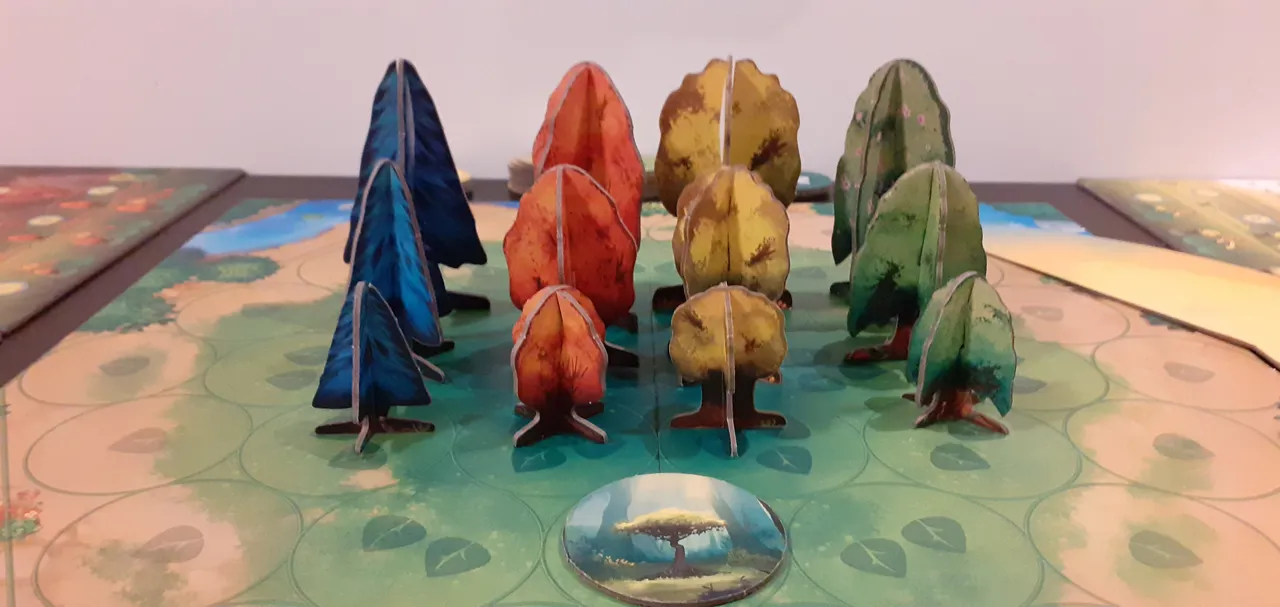 photosynthesis soorten bomenf1637175021