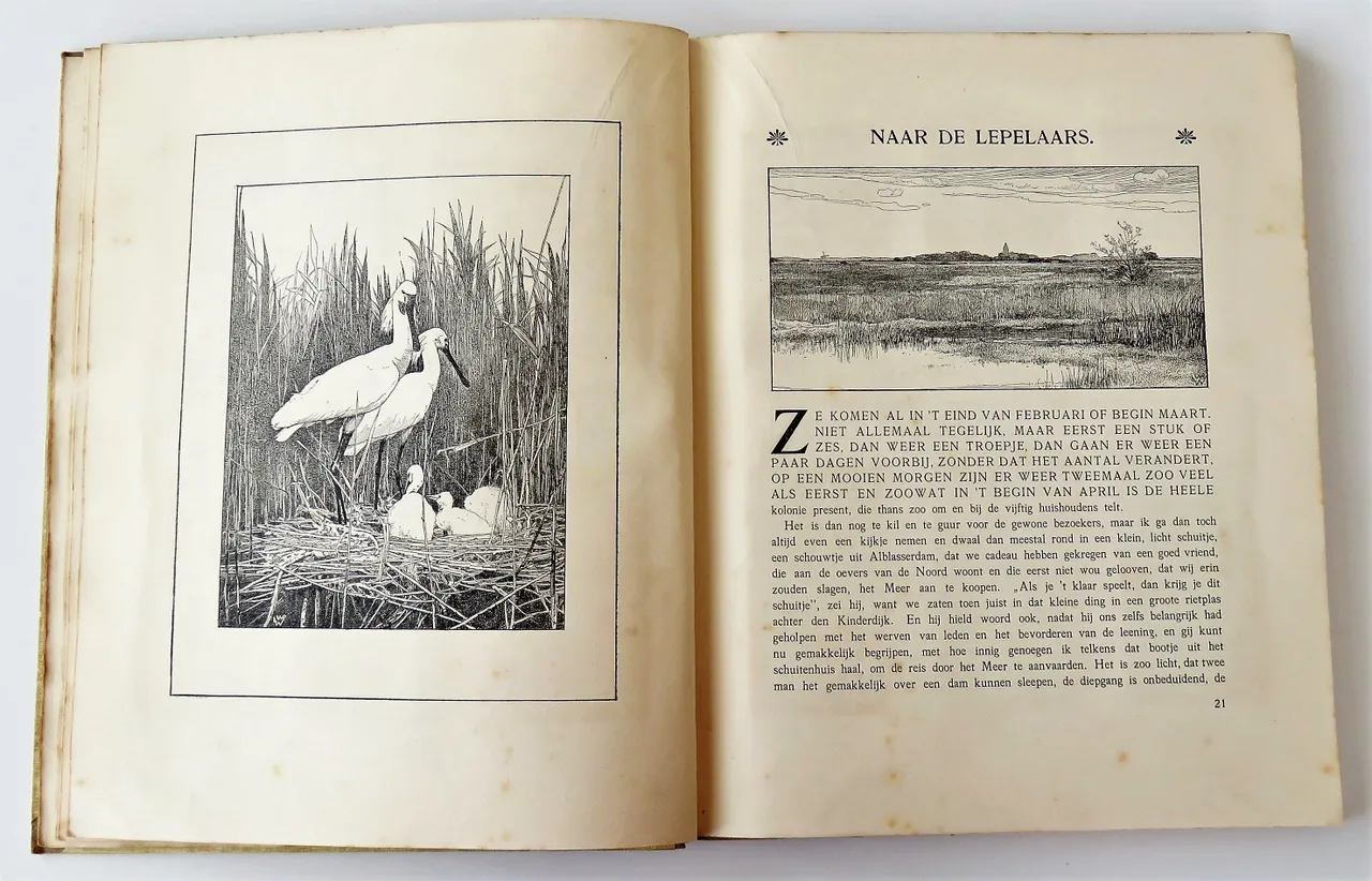 20151025het naardermeer01