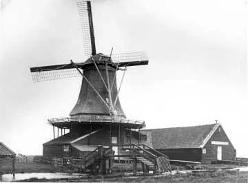 de jonge dolfijn