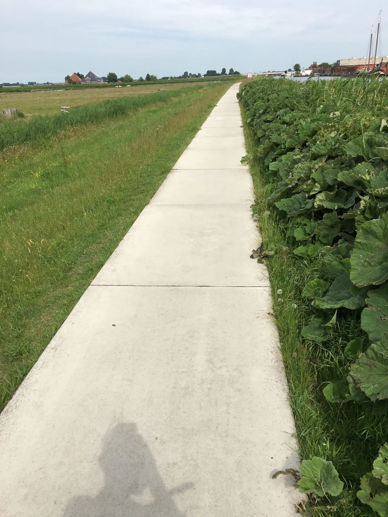 fietspad krommenie vanaf de molen e1592383535148