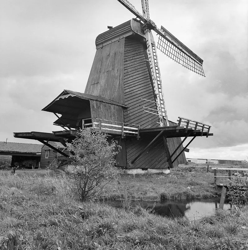 held jozua