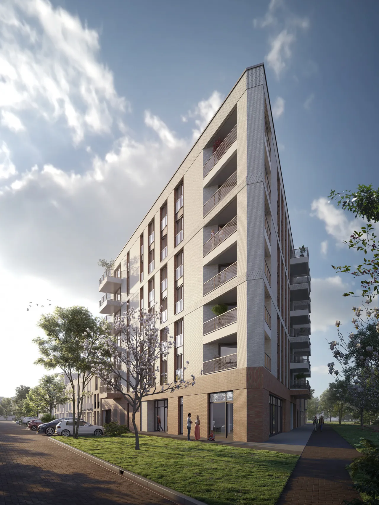 meiboom oostzijderpark zaandam 2
