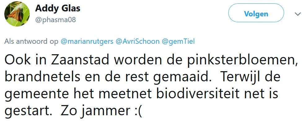 screenshot 2019 06 03 addy glas op twitter ook in zaanstad worden de pinksterbloemen brandnetels en de rest gemaaid terwij