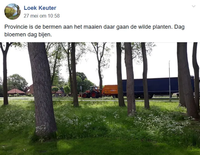 screenshot 2019 06 03 groenzaans houd en maak zaanstad groen