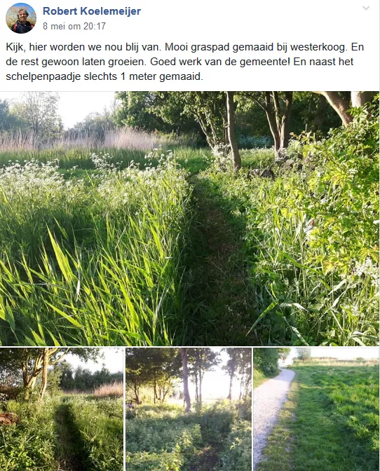 screenshot 2019 06 03 groenzaans houd en maak zaanstad groen4