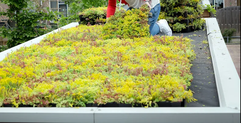 screenshot 20200224 145727