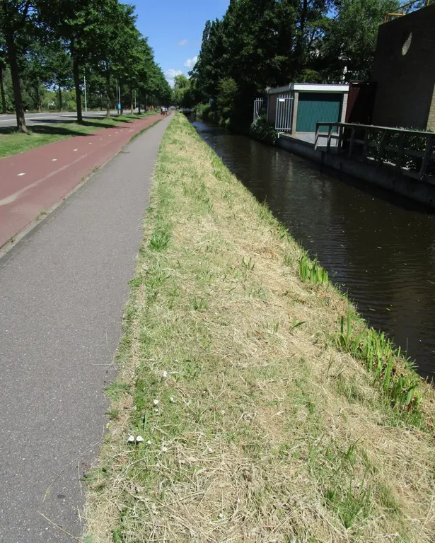 screenshot 20200531 132450