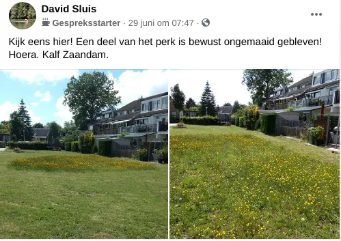 screenshot 20200716 162712