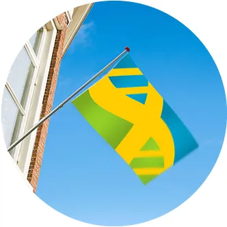 screenshot 20201111 171417