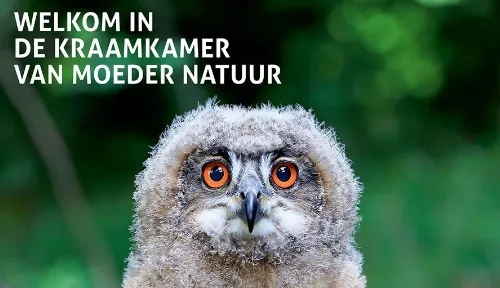 screenshot 20210307 112023