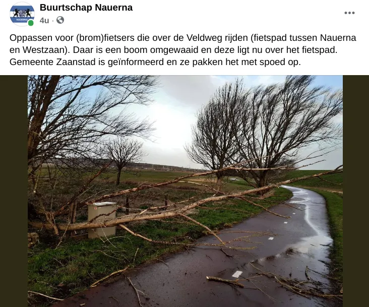 screenshot 20210311 152838