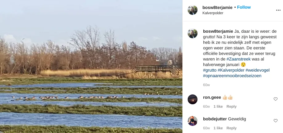 screenshot 20210430 084844