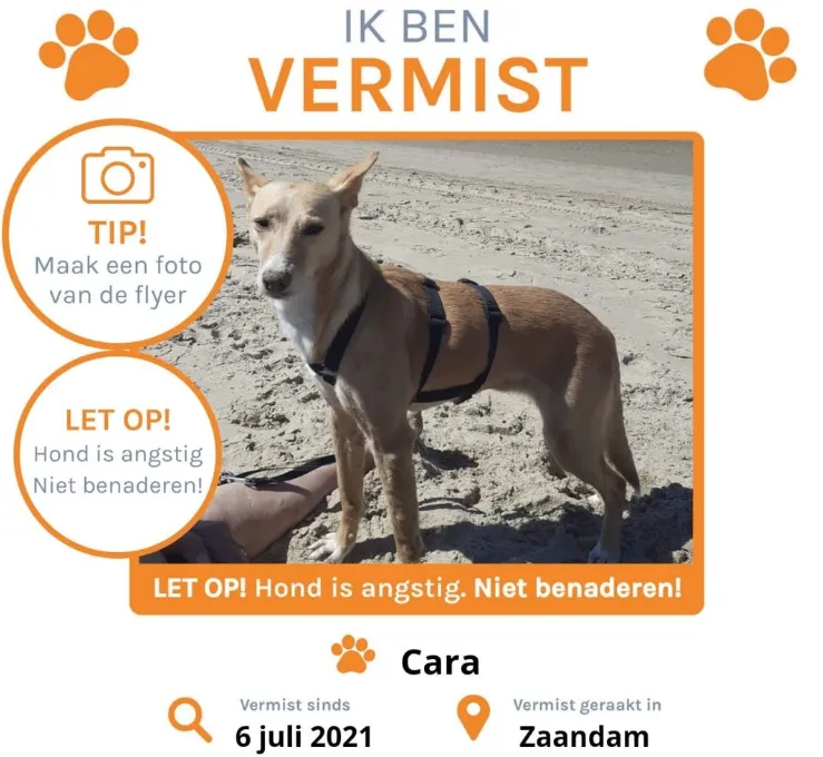 screenshot 20210706 160814