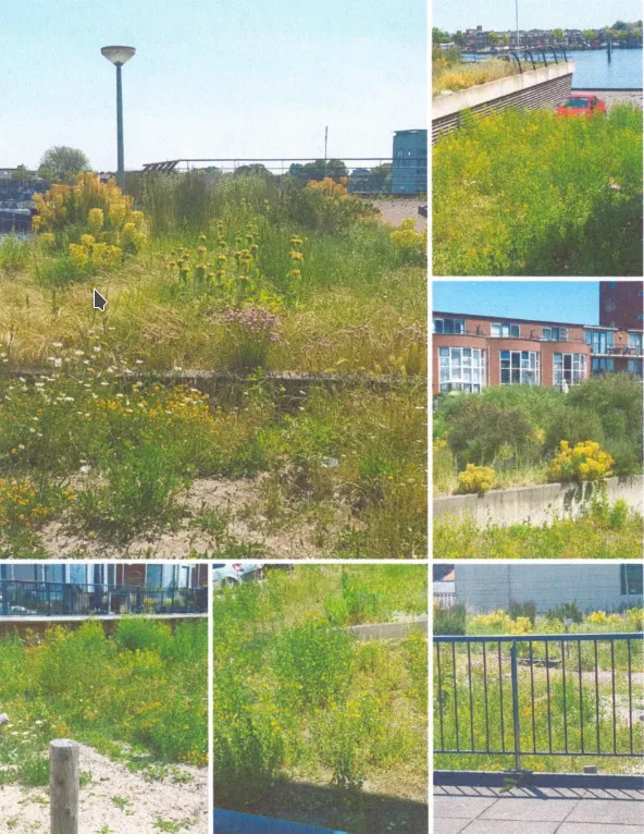 screenshot 20210803 123542