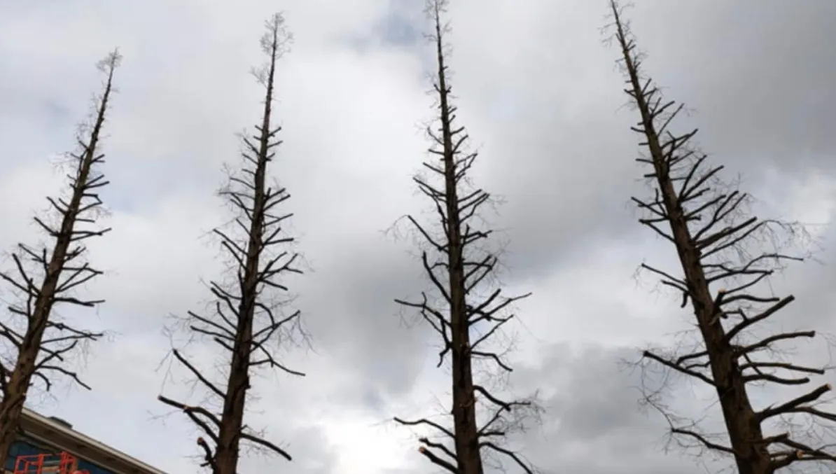 screenshot 20210902 104903