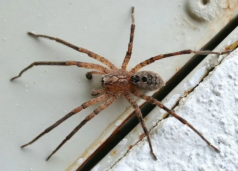 screenshot 20210911 103130